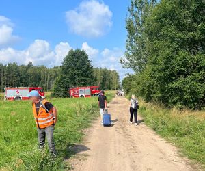 Tragedia na torach. Bus zderzył się z pociągiem. Kierowca nie żyje