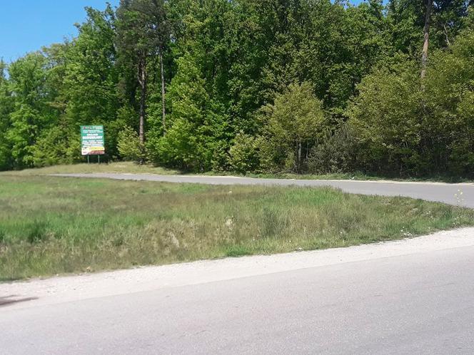 Setki podrzuconych opon w brzeskim lesie. Miał je przywieźć samochód dostawczy lub bus