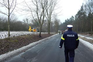 Tragedia podczas wycinki drzew w powiecie radziejowskim! Nie żyje jeden mężczyzna! [ZDJĘCIA]