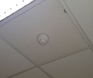 W tej wsi w woj. lubelskim wszyscy mają czujki dymu!