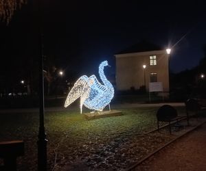 Iluminacje świetlne 2024 Gdańsk