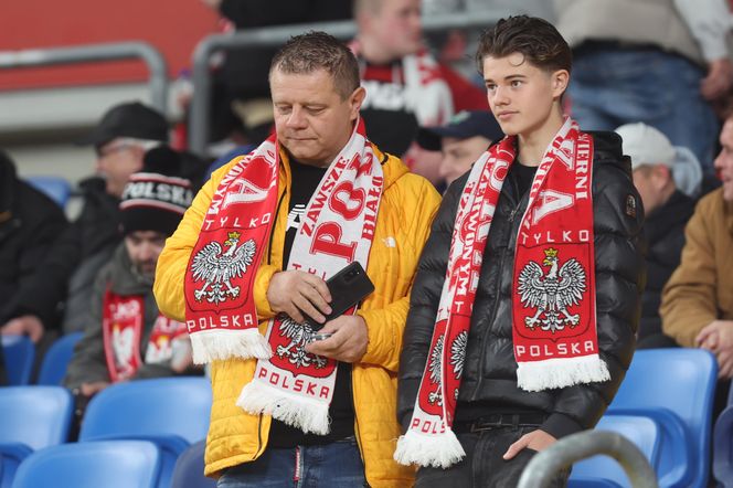 Kibice na meczu Polska -Nowa Zelandia na Stadionie Śląskim