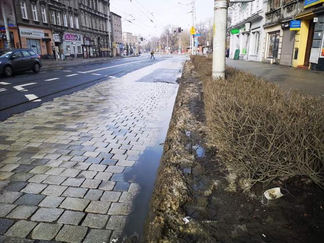 Przebudowa ulicy Pomorskiej we Wrocławiu powinna ruszyć już niedługo