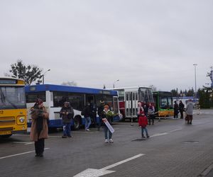 Katarzynki 2024 - wystawa autobusów przy Galerii Panorama