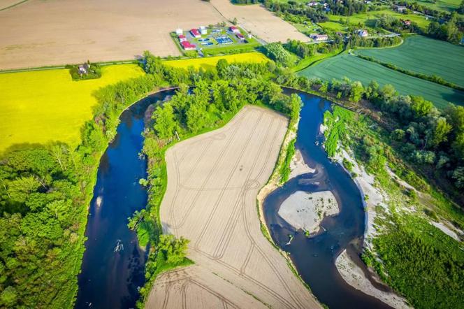 Graniczne Meandry Odry - piękny zakątek przyrody przy granicy z Czechami ZDJĘCIA