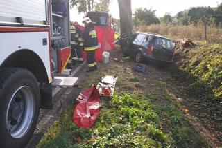 Tragiczny wypadek pod Bydgoszczą. Kierowca zginął na miejscu! [ZDJĘCIA]