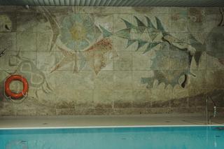 Basen Korony - zdjęcia. Uczyło się tu pływać pół Krakowa