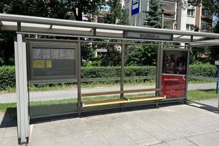 Krakowskie przystanki i cień - jak się sprawdzają? Jest kiepsko, sytuację ratują drzewa