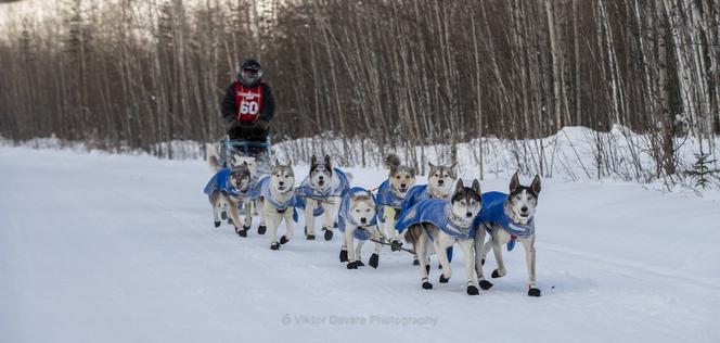 Ultramaratończyk z Łodzi pokonał Yukon Quest