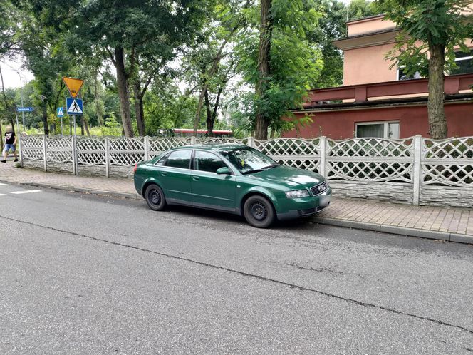 "Wyleciał mi przed maskę"
