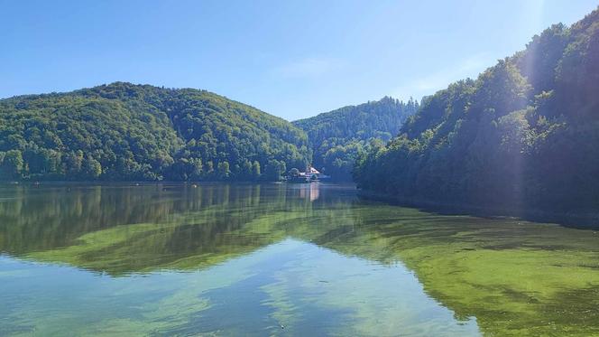 Z Wrocławia na weekend. Zamek Grodno i ogromna zapora wodna w Zagórzu Śląskim 