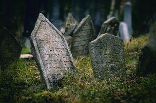Historyczne cmentarze w kujawsko-pomorskim. Są zapomniane i tajemnicze [GALERIA]