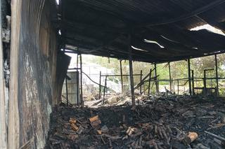  Pożar w Tajęcinie [GALERIA]