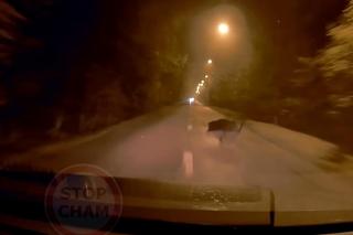 Te nagrania wywołują ciarki na plecach. Zwierzęta wbiegają tuż przed maskę!