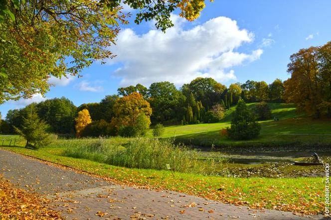 Zobacz jak wygląda największy park miejski w Polsce