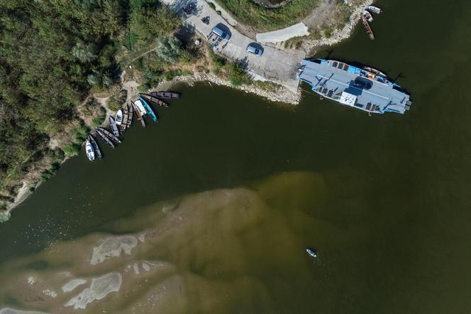 Rekordowo niski poziom Wisły w Kazimierzu Dolnym. Zobacz