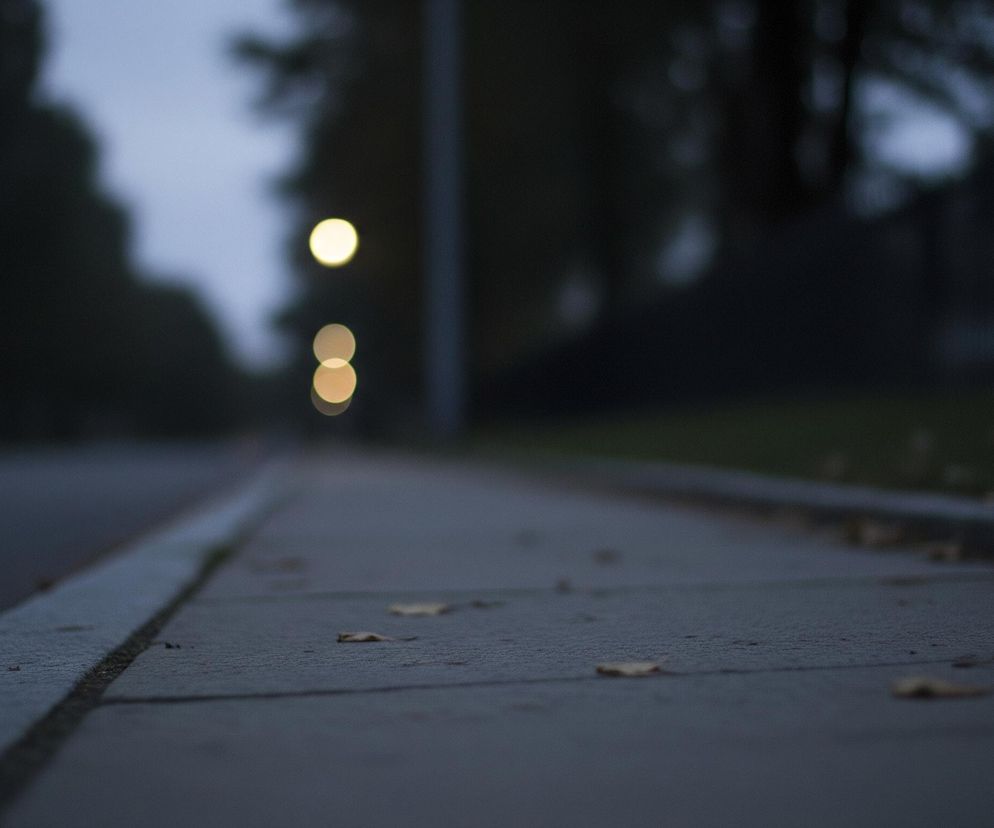 Chodnik z szarych, betonowych płyt rozciąga się w głąb obrazu, zajmując większą część dolnej połowy. Po lewej stronie widoczny jest ciemnoszary krawężnik, oddzielający chodnik od asfaltowej drogi, która również prowadzi w dal. Na powierzchni chodnika i wzdłuż krawężnika leżą rozrzucone suche, brązowe liście. W tle, w oddali, znajdują się dwie rozmyte, jasne, okrągłe plamy światła, przypominające latarnie, oraz sylwetki drzew i innych elementów miejskiego krajobrazu, otoczone ciemnym, prawdopodobnie wieczornym niebem.