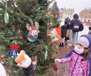  Zamojskie przedszkola i szkoły dekorowały choinki