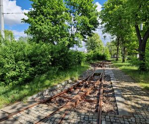 Torowisko tramwajowe na Babiej Wsi w Bydgoszczy zarośnięte chwastami. Tramwaje zniknęły stąd lata temu