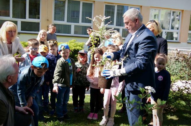 Świetokrzyskie przedszkolaki sadzą krzewy miododajne