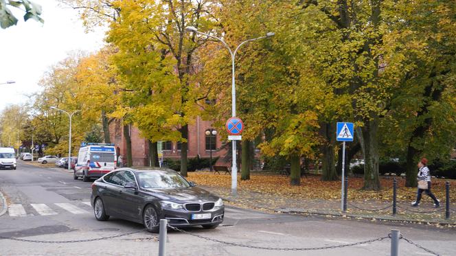 Kolorowe drzewa i klimatyczne kamienice. Ta ulica w Olsztynie zachwyca jesienią