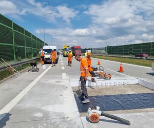 Tak naprawiano betonową nawierzchnię autostrady A1