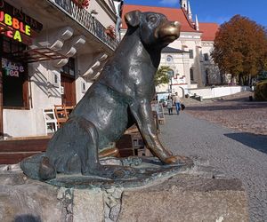 To najładniejsza nazwa miasta w woj. lubelskim zdaniem sztucznej inteligencji. „Brzmi poetycko” 