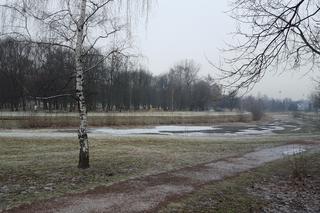 Park Grabek w Czeladzi