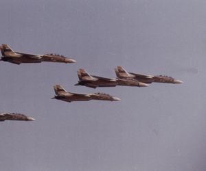 F-14 Tomcat
