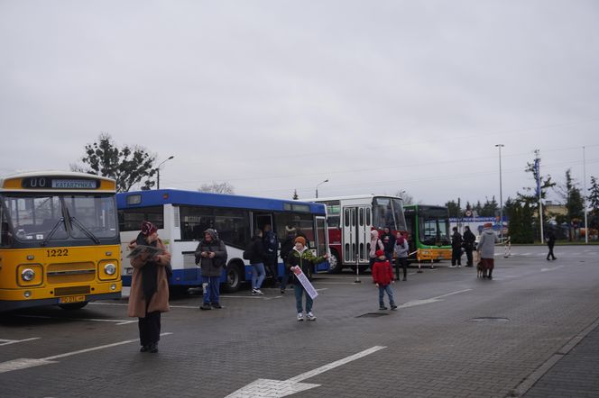 Katarzynki 2024 - wystawa autobusów przy Galerii Panorama