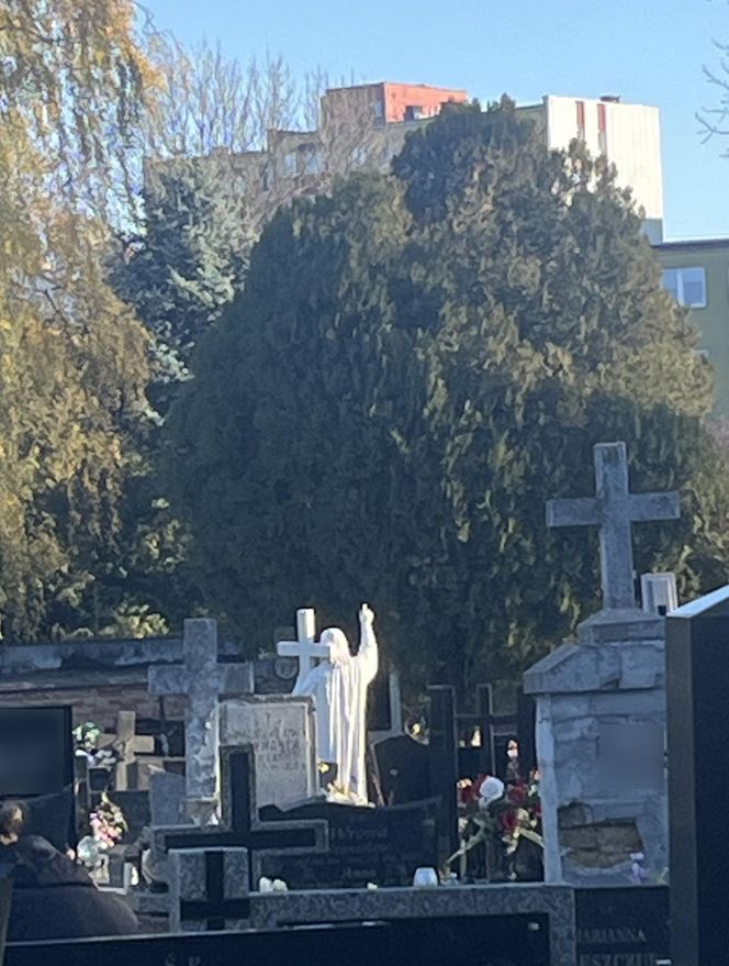 Zapomniany cmentarz w Lublinie zachwyca pięknem i historią. Ma już ponad 150 lat