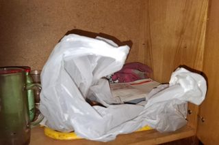 Martwe szczeniaki w workach na zakupy! Wstrząsające odkrycie w mieszkaniu