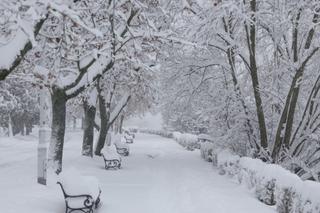 Nadchodzi załamanie pogody! Pierwszy śnieg w Polsce może spaść już za kilka dni