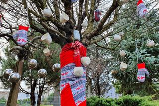 Ogrody Kapias przygotowane na zimę