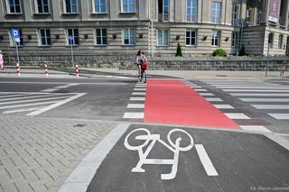 Nowa ścieżka rowerowa w Białymstoku. Ochrania systemy korzeniowe drzew