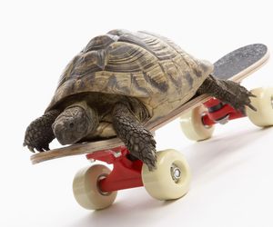 Jazda na deskorolce: 7 porad dla początkujących