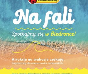 Biedronka na fali
