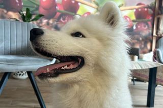 Kawowa Fabryka - Łódź