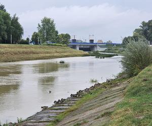 Interwencje podkarpackich strażaków po burzach. Trwa usuwanie skutków ulewnych deszczów