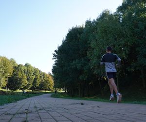 Filary porośnięte bluszczem w Lublinie! Tak się prezentują w jesiennej odsłonie