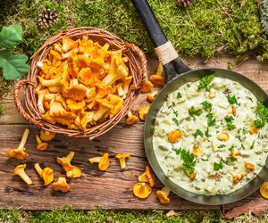 Klasyczny przepis na kurki w śmietanie