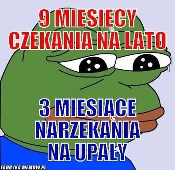 Do Polski dotarła fala gorąca. Te memy na temat upalnych dni rozbawią wszystkich do łez!