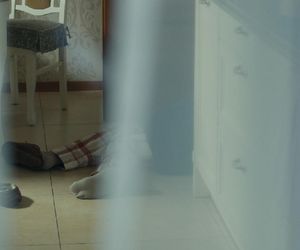 Barwy szczęścia, odcinek 3178. Henryk (Zbigniew Suszyński)