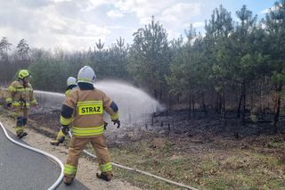 Wzniecał pożary w lasach. Podpalacz z Kuźni Raciborskiej zatrzymany. To 14-latek