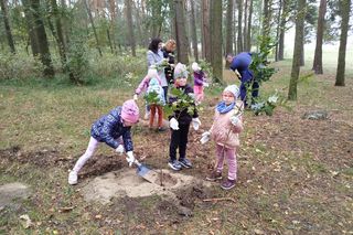 Dębowy Elektryczny Las został zasadzony nad Siedleckim zalewem w ramach programu Polska Stolica Recyklingu