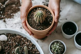 Jakie prezenty mogą przynieść pecha? Sprawdź!