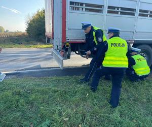 Śmiertelny wypadek pod Gnieznem! Kobieta zginęła pod kołami ciężarówki