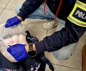 Kalisz. Narkotyki nie trafią na rynek. Czworonożna funkcjonariuszka wywąchała blisko 4,5 kg nielegalnych substancji 