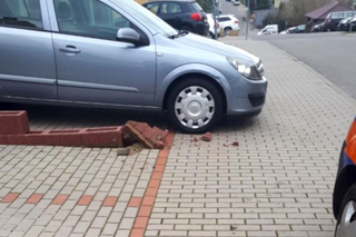 Niecodzienna interwencja szczecińskich strażników miejskich. Zaczęło się od parkowania na trawniku...