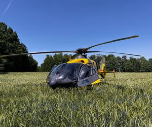Interwencja Lotniczego Pogotowia Ratunkowego w powiecie tarnogórskim. Mężcyzyznę użądlił rój os